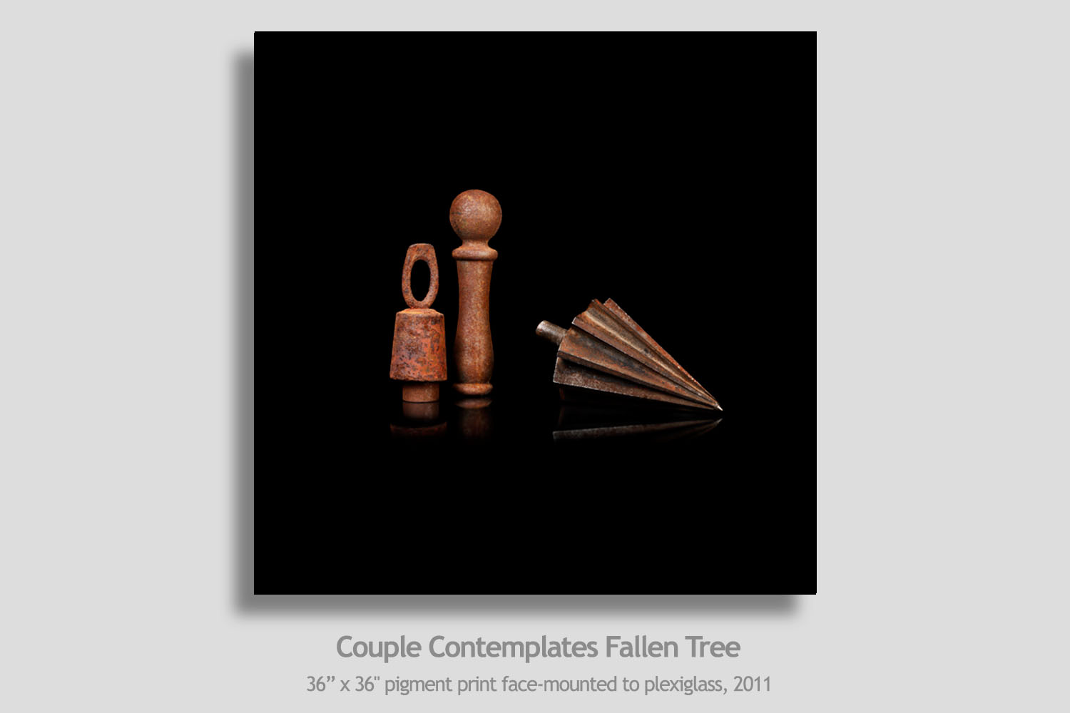 Couple COntemplates Fallen Tree