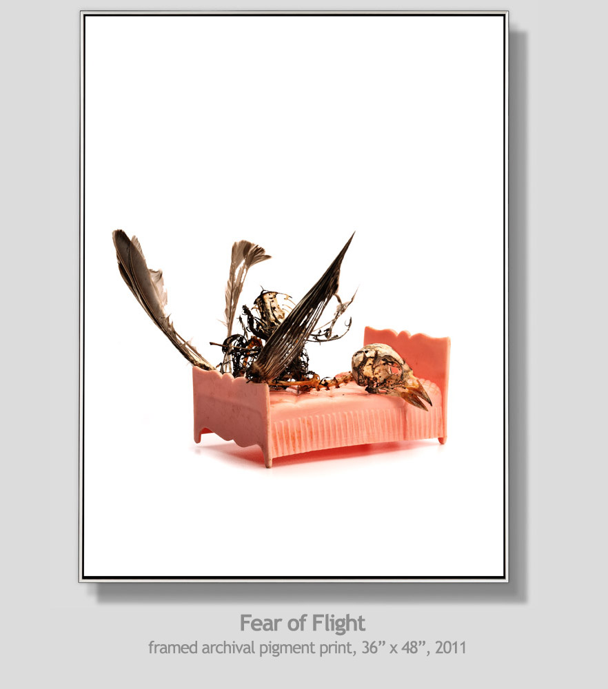 Fear of Flight